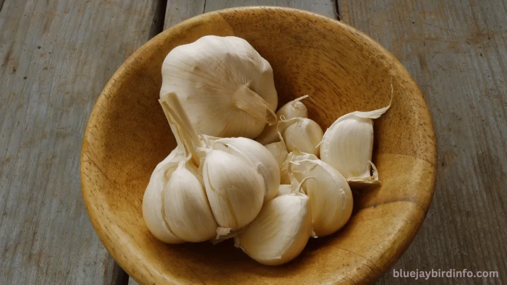 Do Fresh Garlic Cloves Keep Blue Jays Away