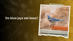 Do blue jays eat bees